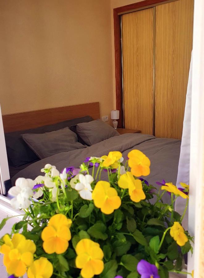 Isamar Apartamento Playa Del Cura Torrevieja Exterior photo